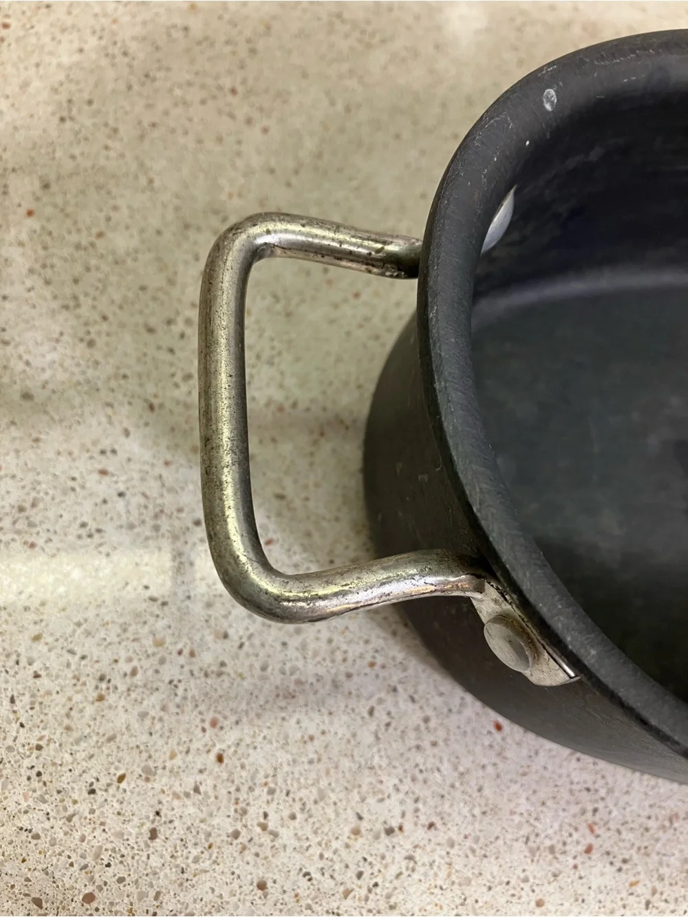 Black Oval Roasting Pan